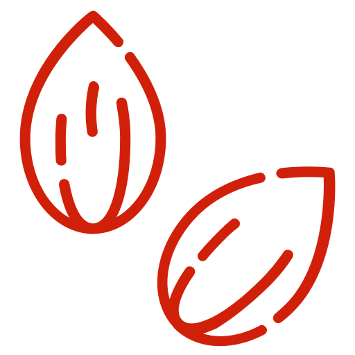 siemenet